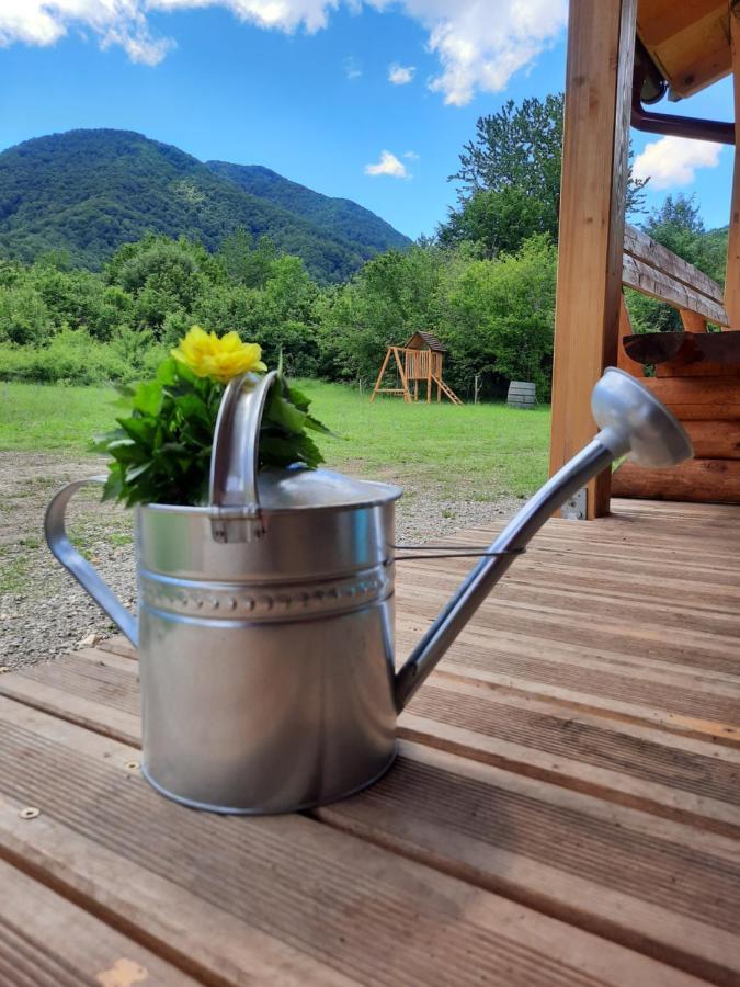 Villa Spirit Of Velebit à Gospić Extérieur photo