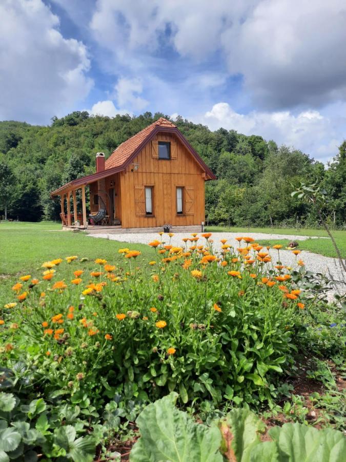 Villa Spirit Of Velebit à Gospić Extérieur photo